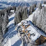 Luxus Almchalets Schladming-dachstein *