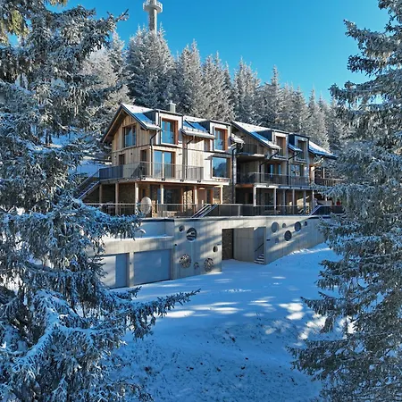 Luxus Almchalets Schladming-dachstein 木屋