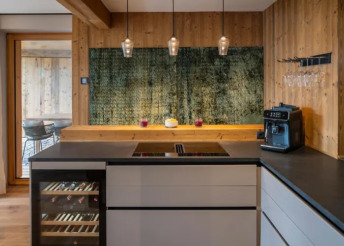 Luxus Almchalets Schladming-dachstein 木屋