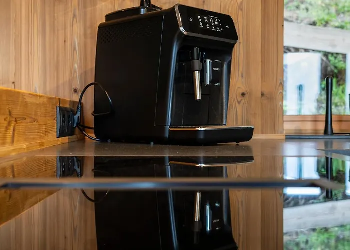 Luxus Almchalets Schladming-dachstein 木屋