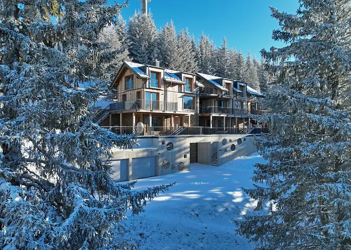 Luxus Almchalets Schladming-dachstein 木屋